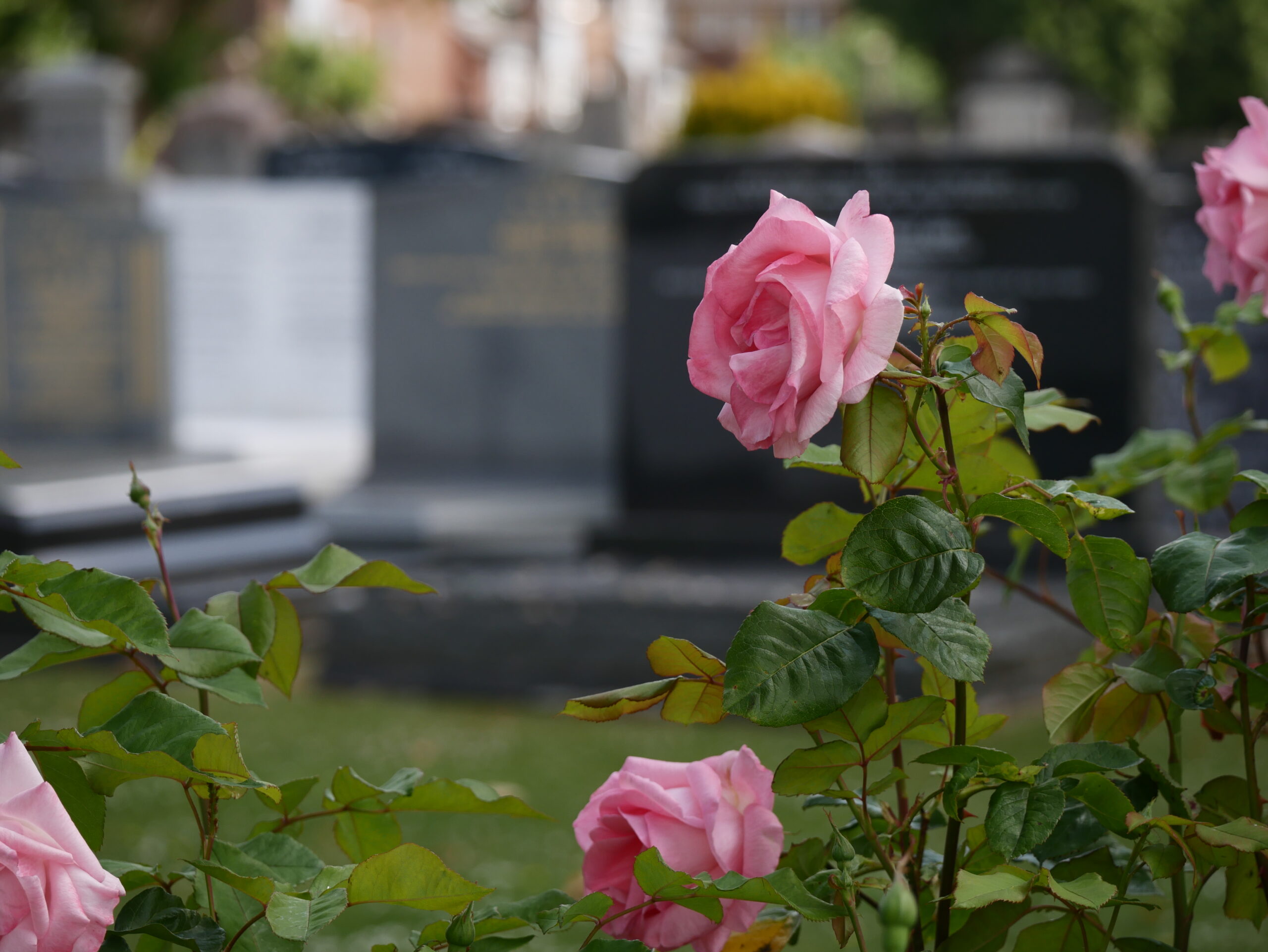 Our Cemeteries